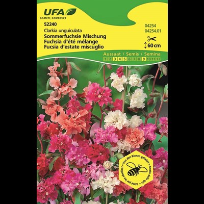 Fuchsia d'été mélange UFA
