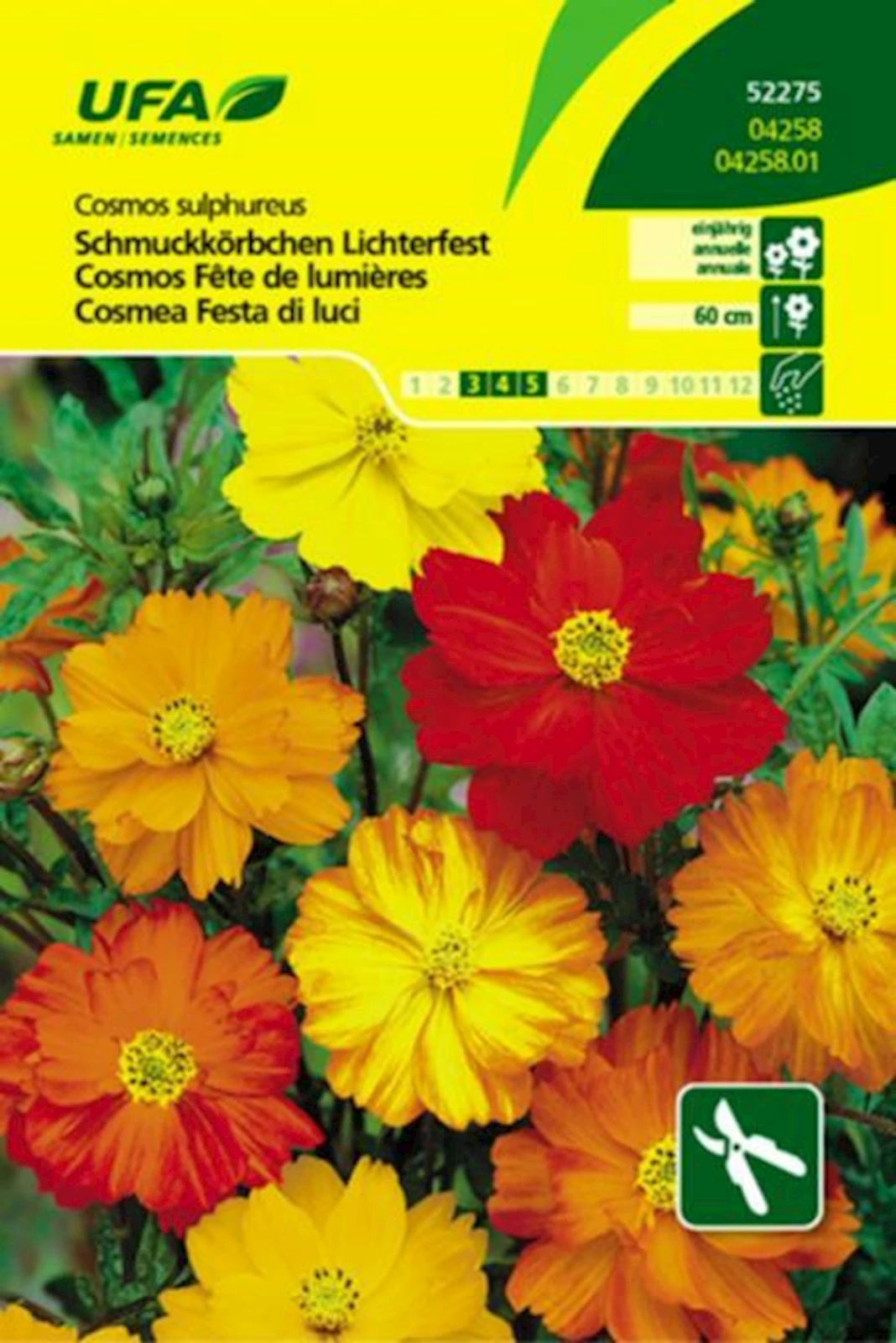 Cosmos Fête de lumières UFA