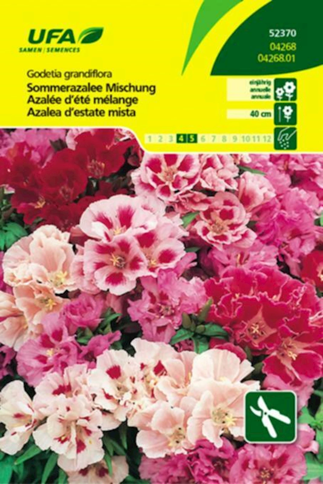 Sommerazalee Mischung UFA