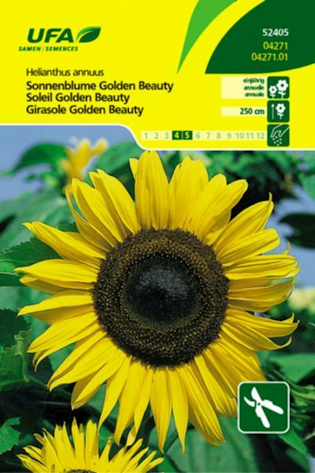 Sonnenblume Golden Beauty UFA