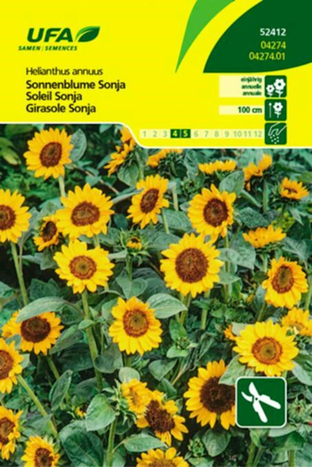 Sonnenblume Sonja UFA