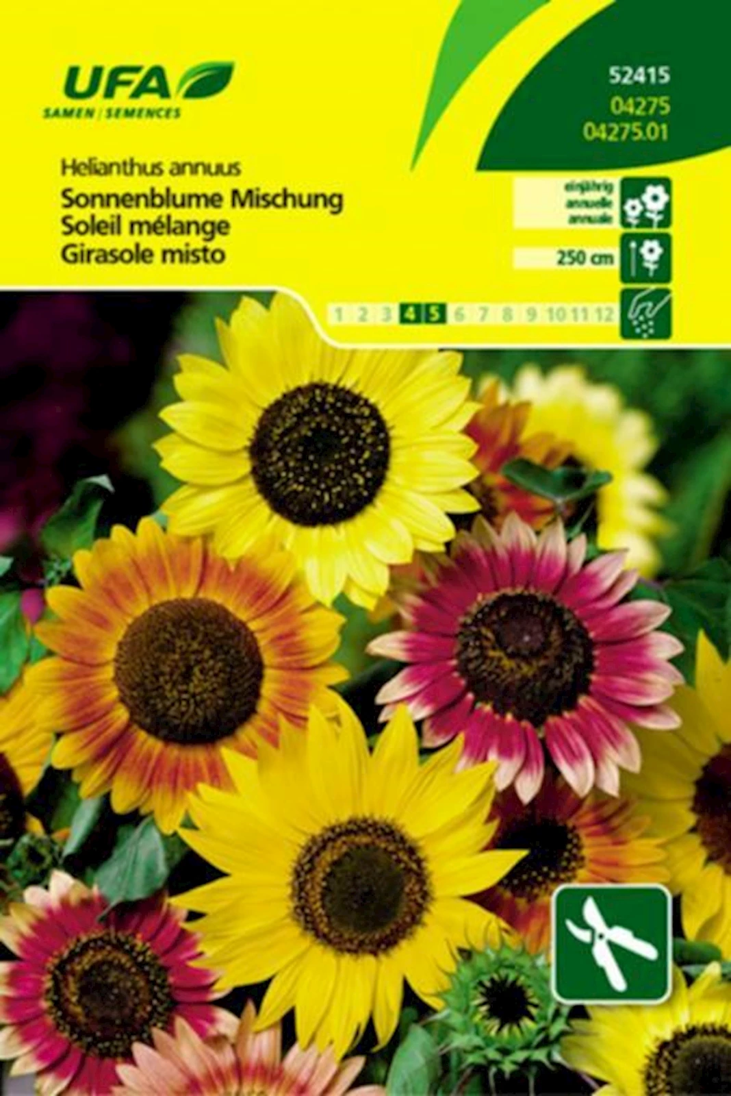 Sonnenblume Mischung Hoch UFA