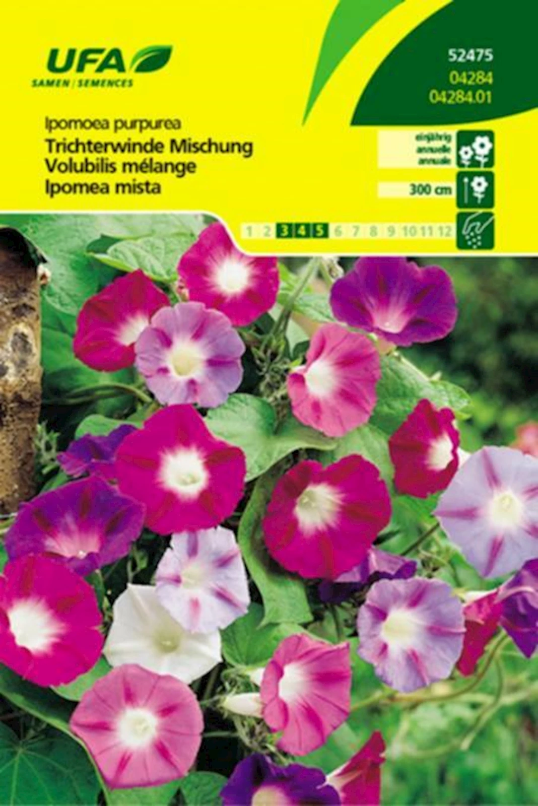 Trichterwinde Mischung UFA