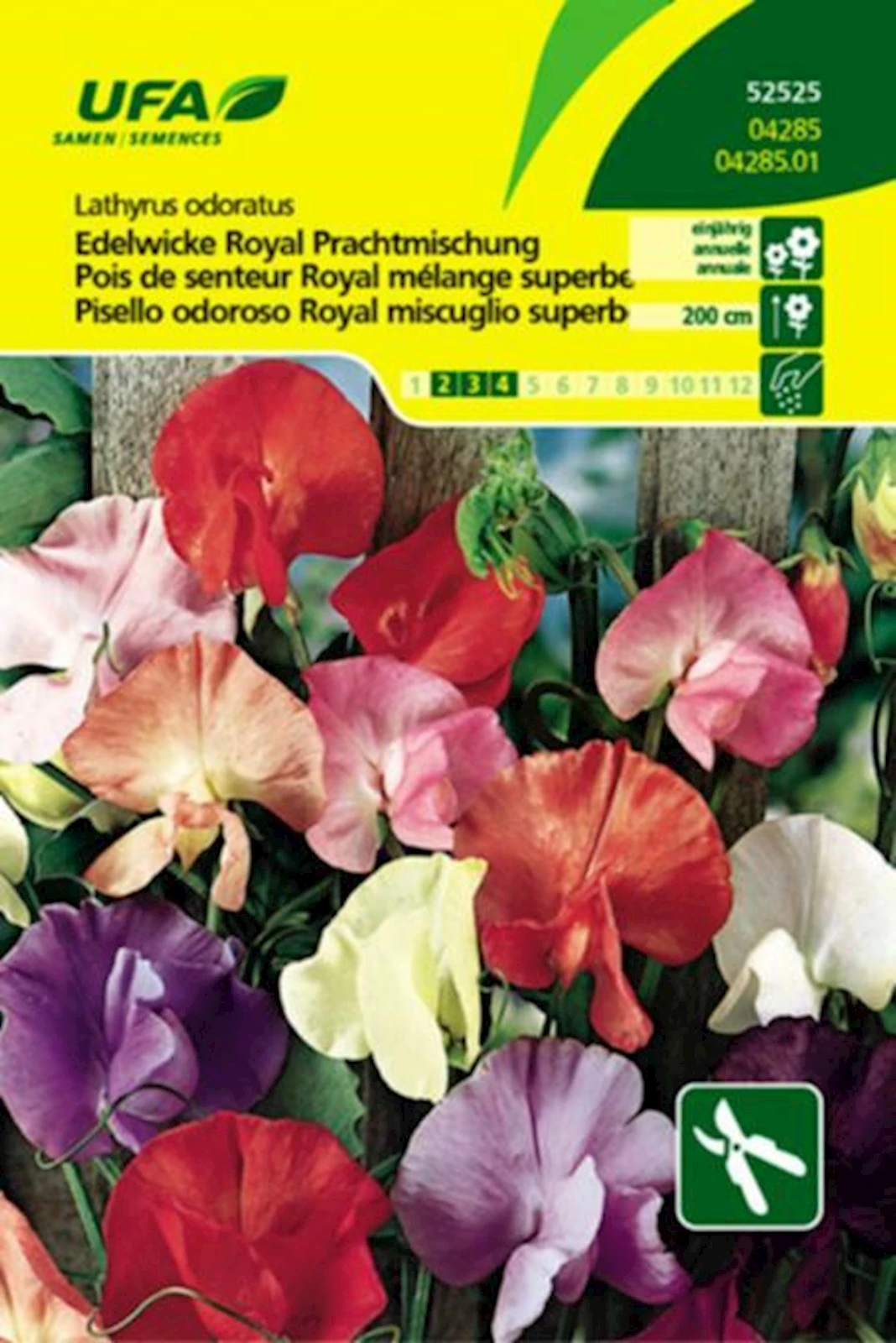 Edelwicke Royal Mischung UFA