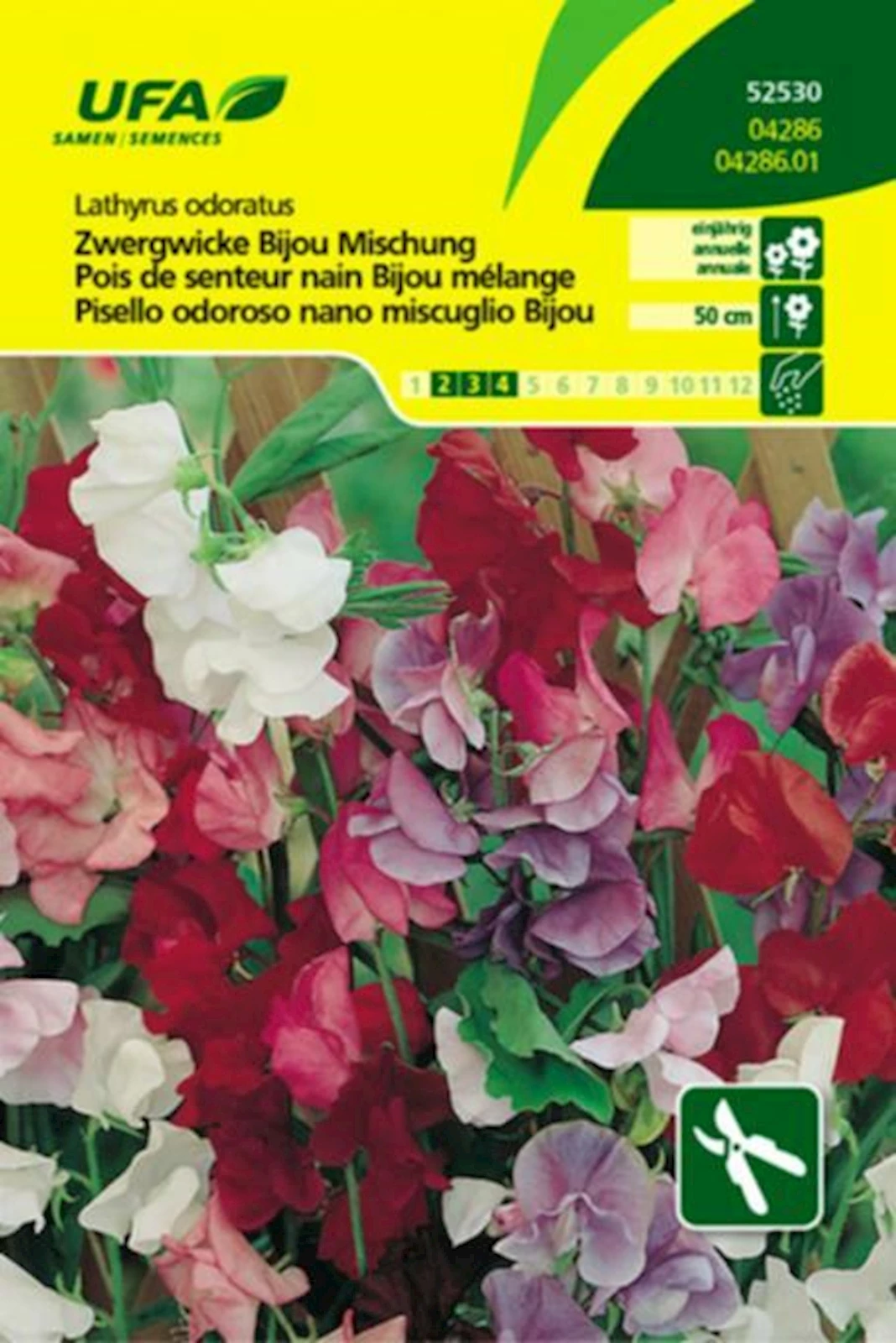 Zwerg-Wicke Bijou Mix UFA