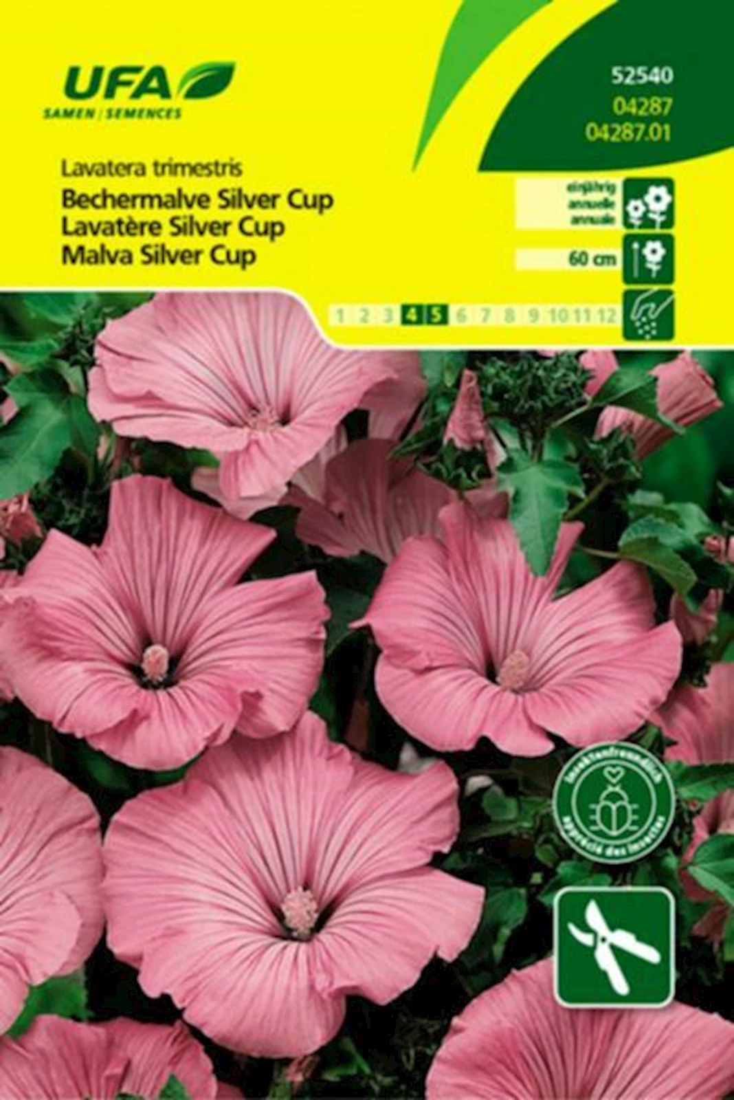 Bechermalve Silver Cup UFA