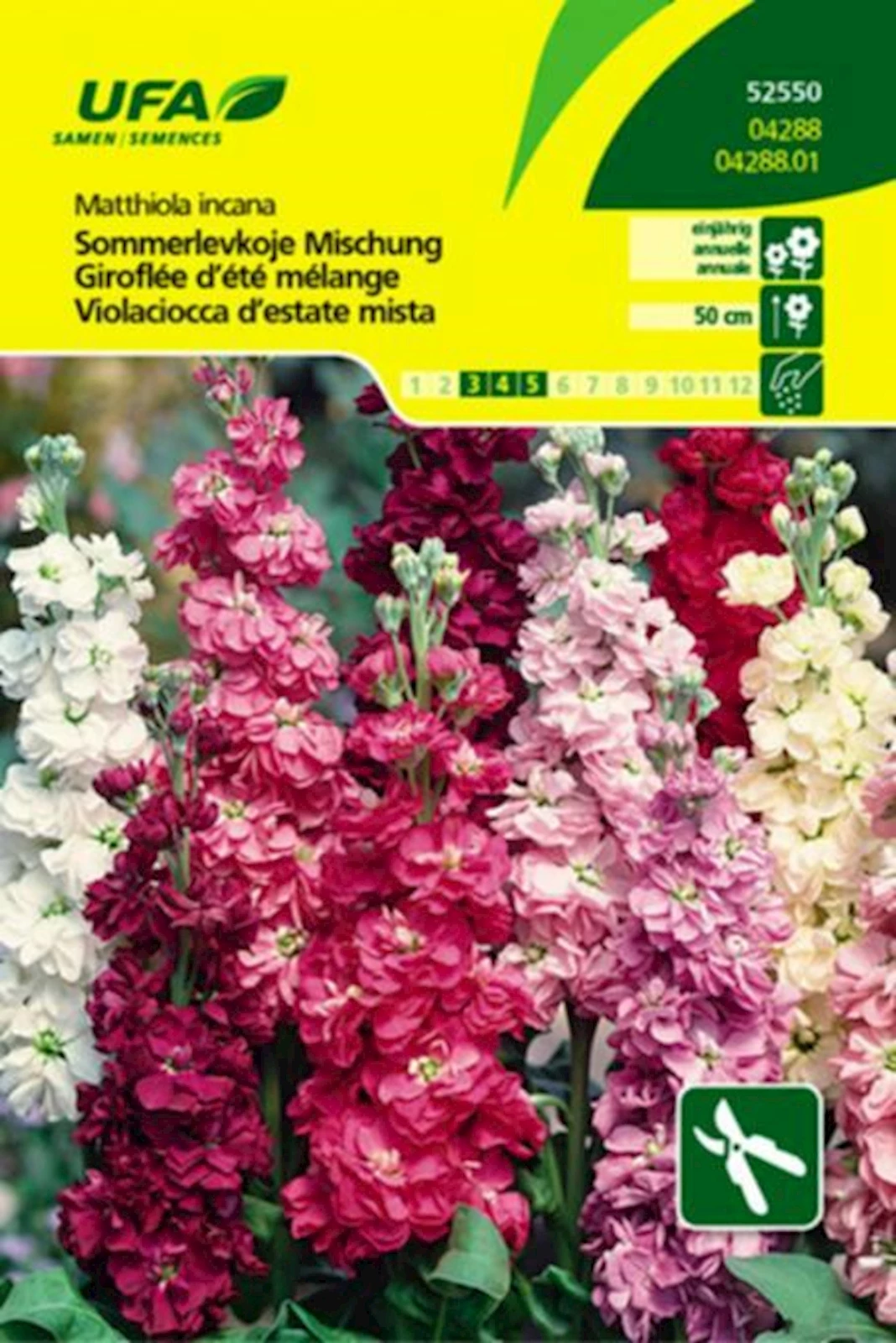 Sommerlevkoje Mischung UFA