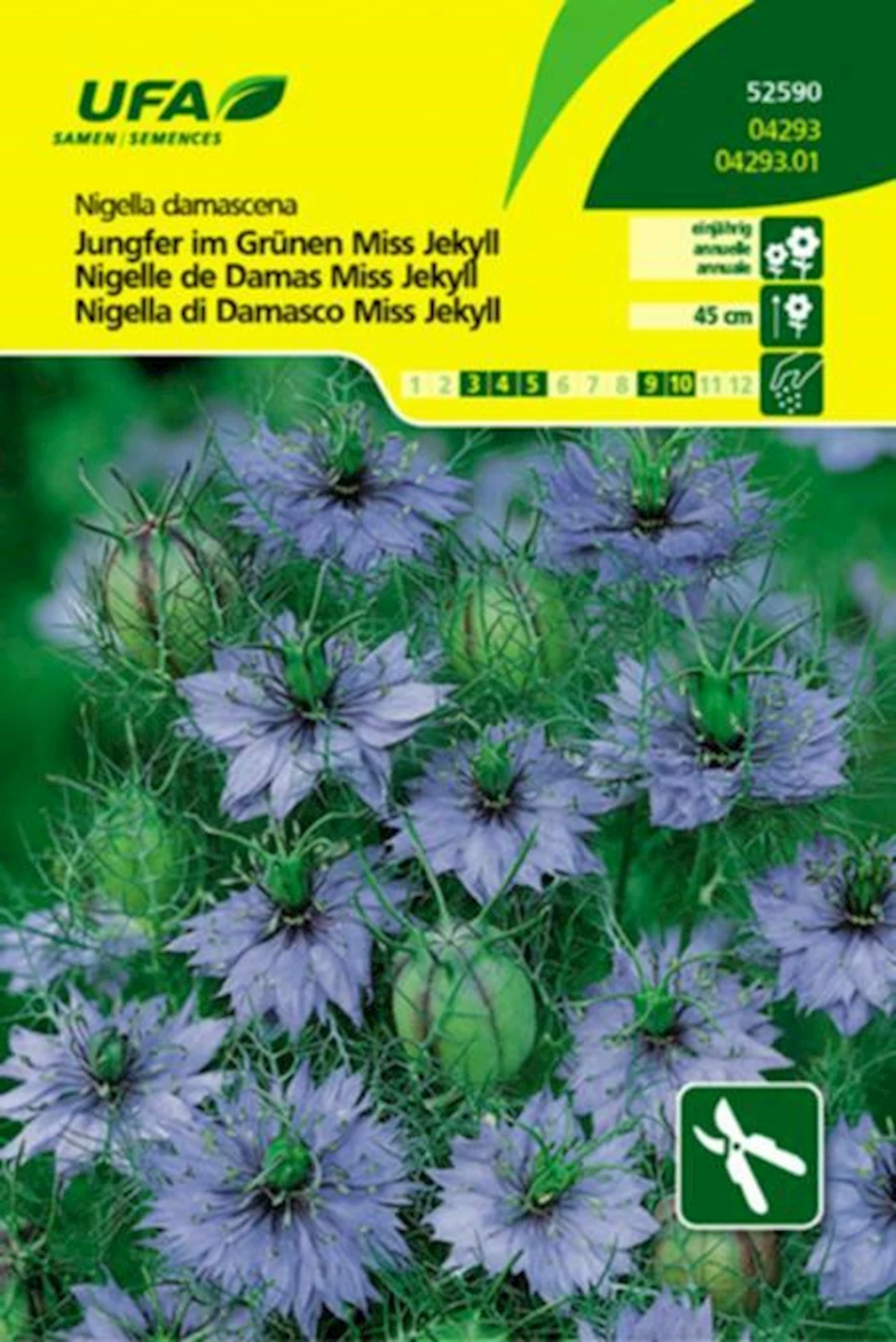 Jungfer Im Grünen Miss UFA