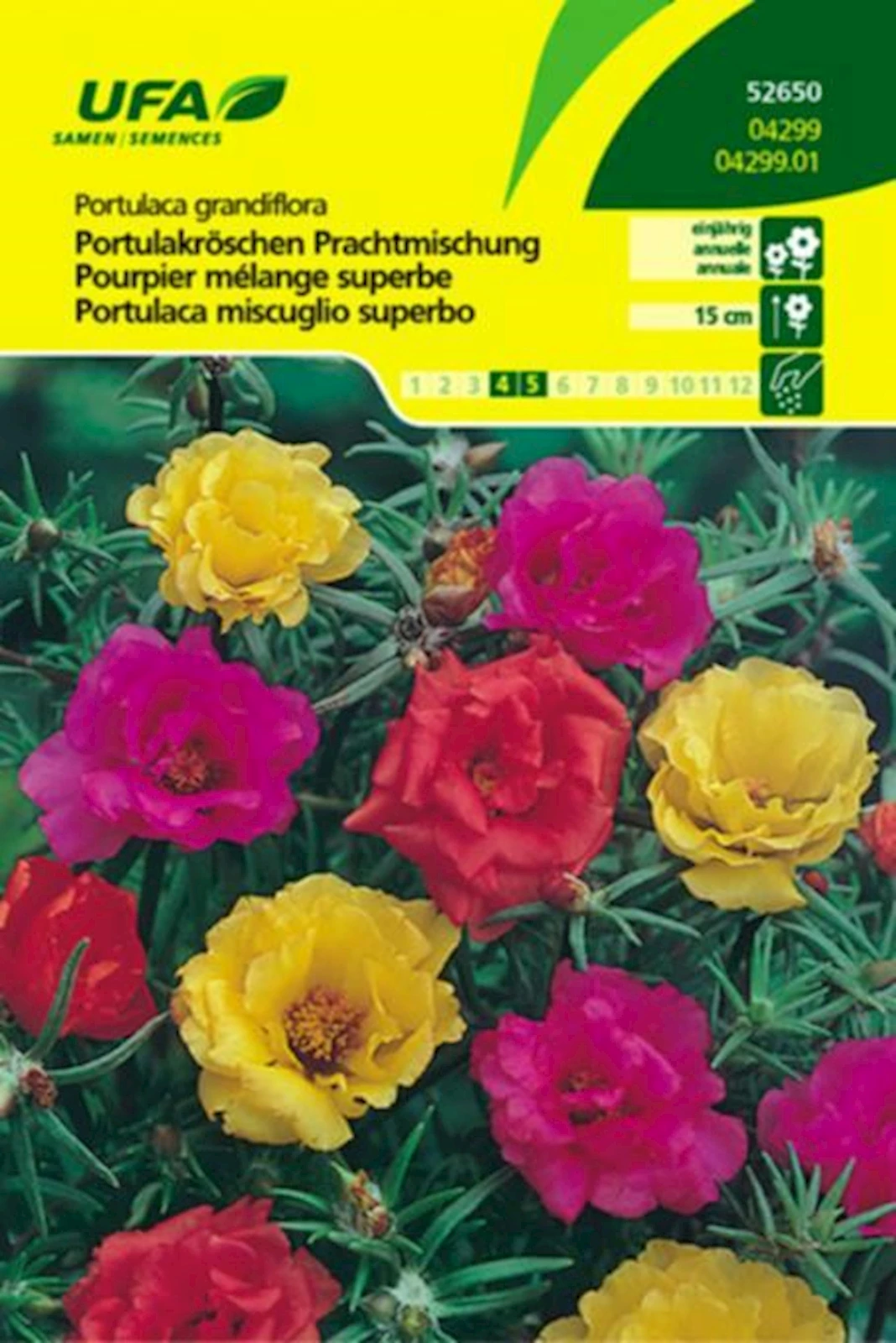 Portulakröschen Mischung UFA