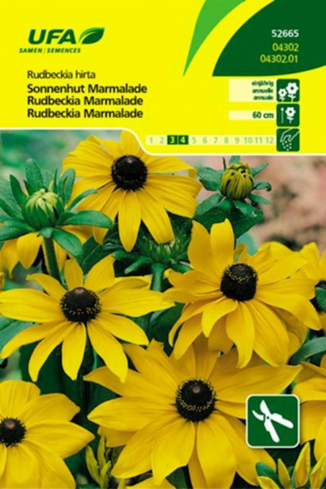 Rudbeckia Marmelade doré UFA