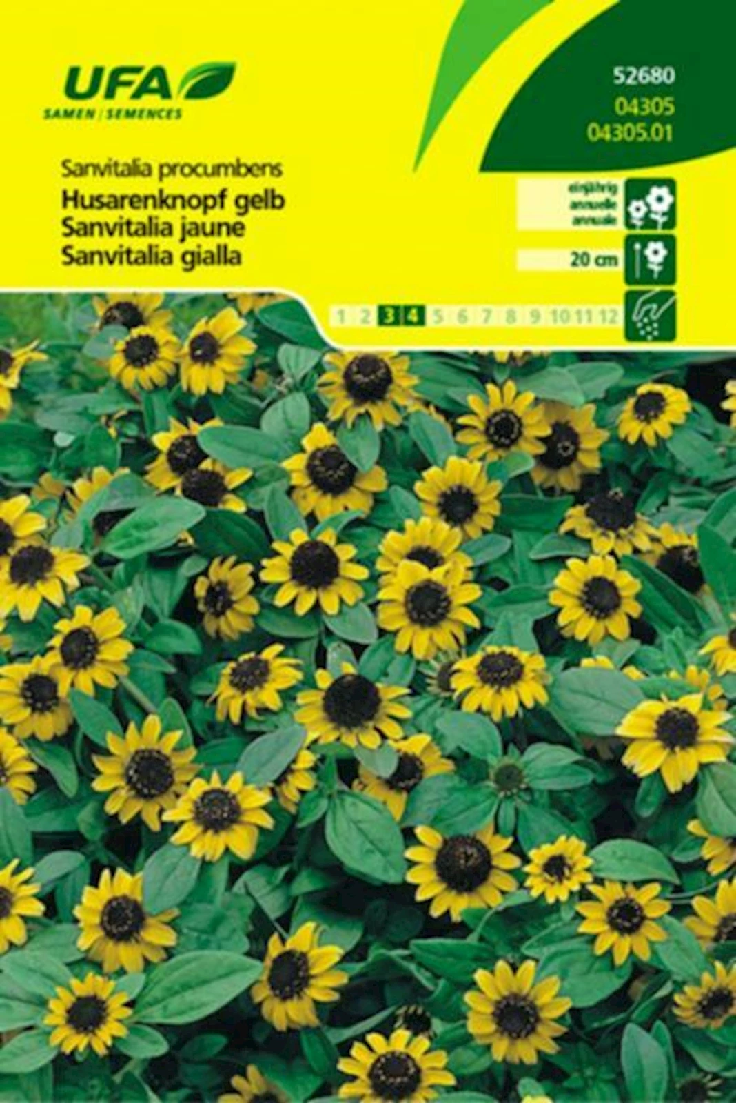 Husarenknopf gelb UFA