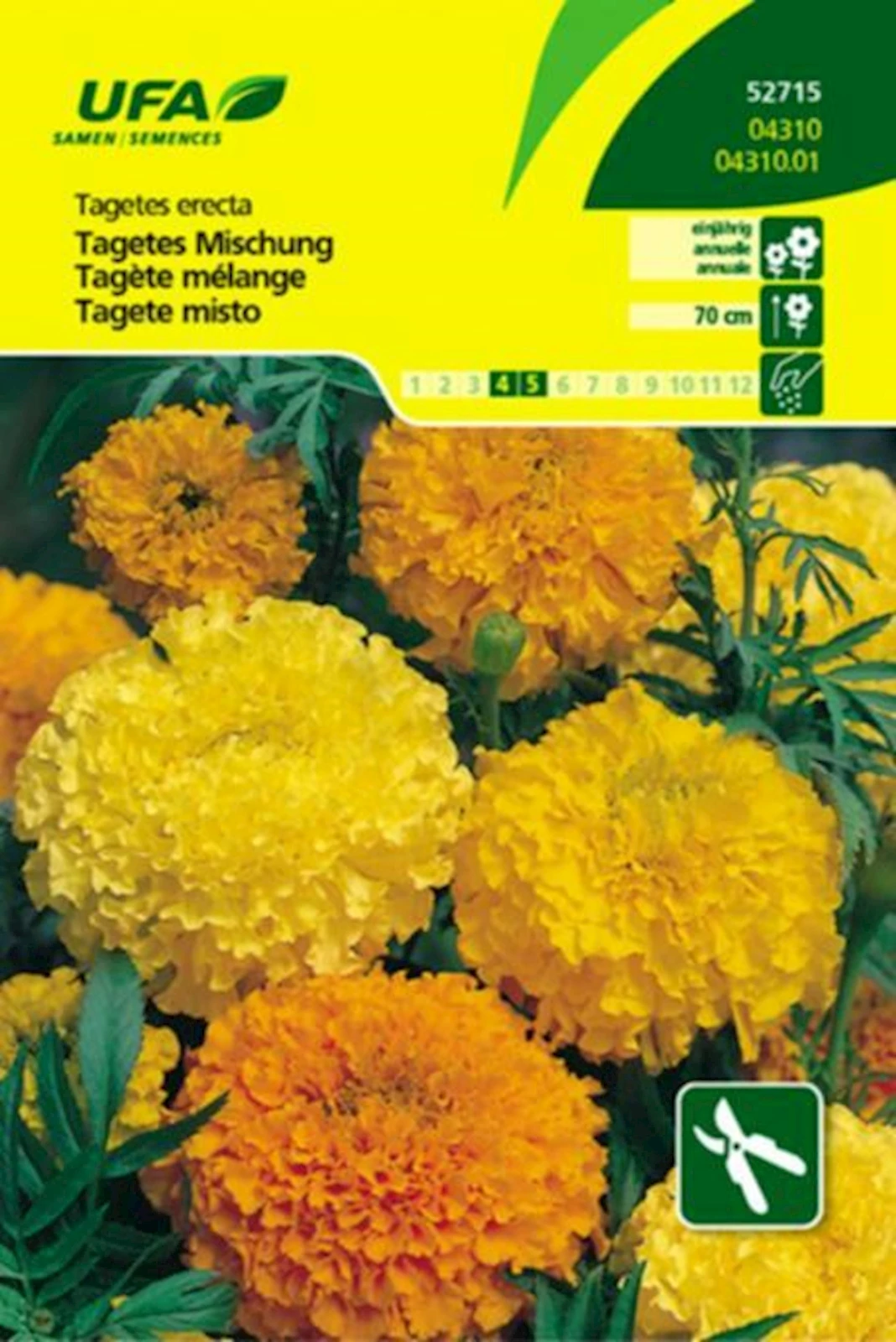 Tagetes Mischung Hoch UFA