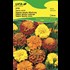 Tagetes Sparky Mischung UFA
