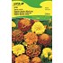 Tagetes Sparky Mischung UFA