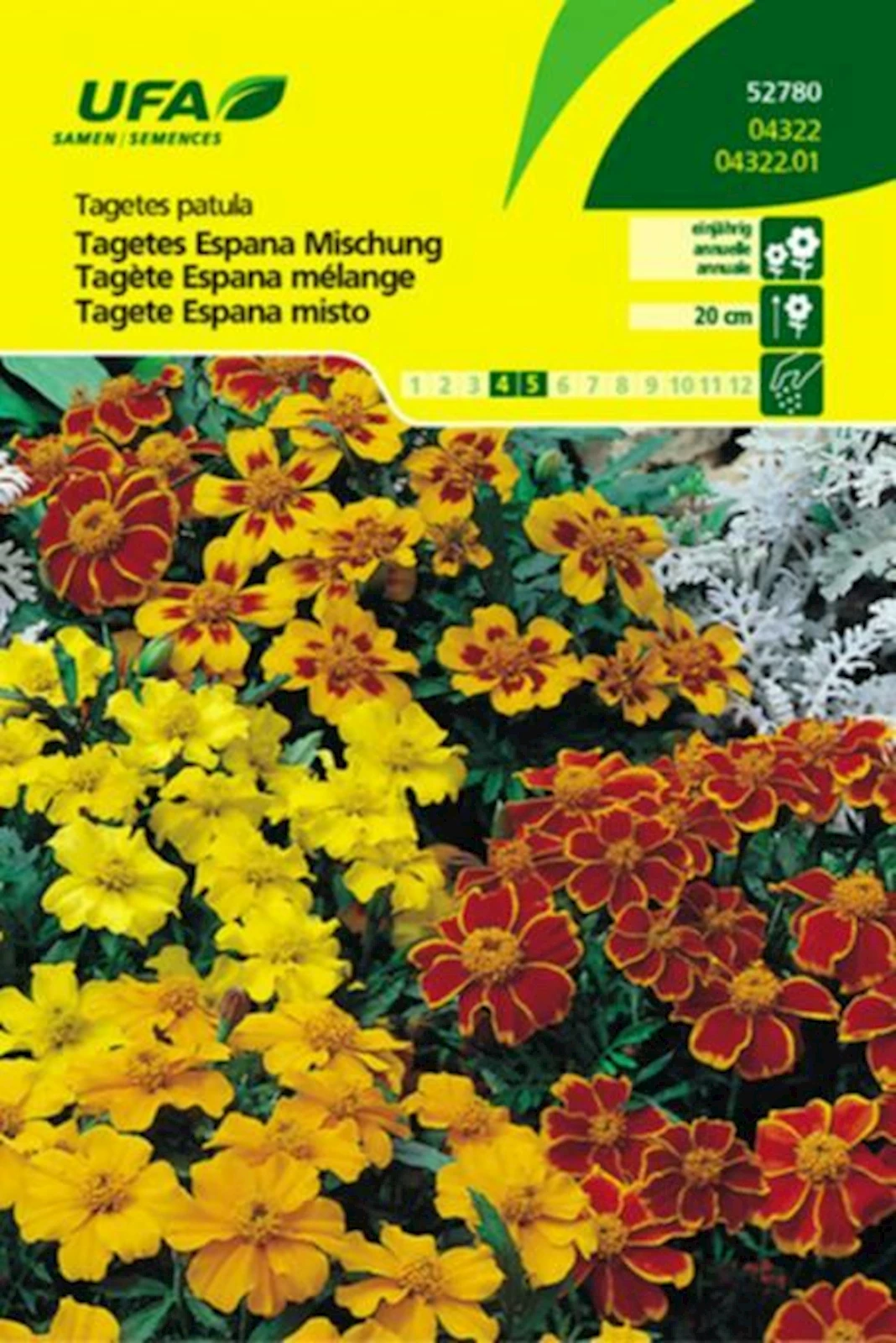 Tagetes Espana Mischung UFA
