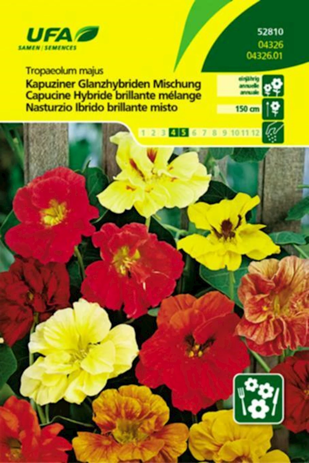 Kapuziner Glanzhybriden UFA