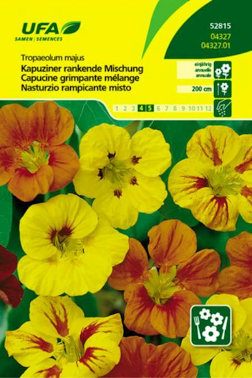 Kapuziner Rankende UFA