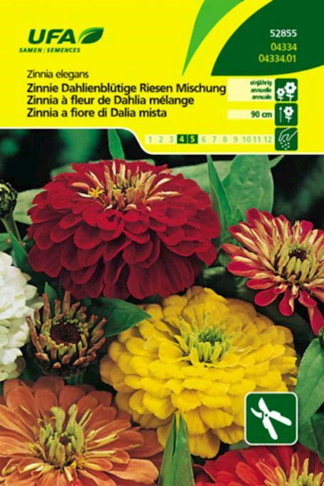 Zinnie Riesen Mischung UFA