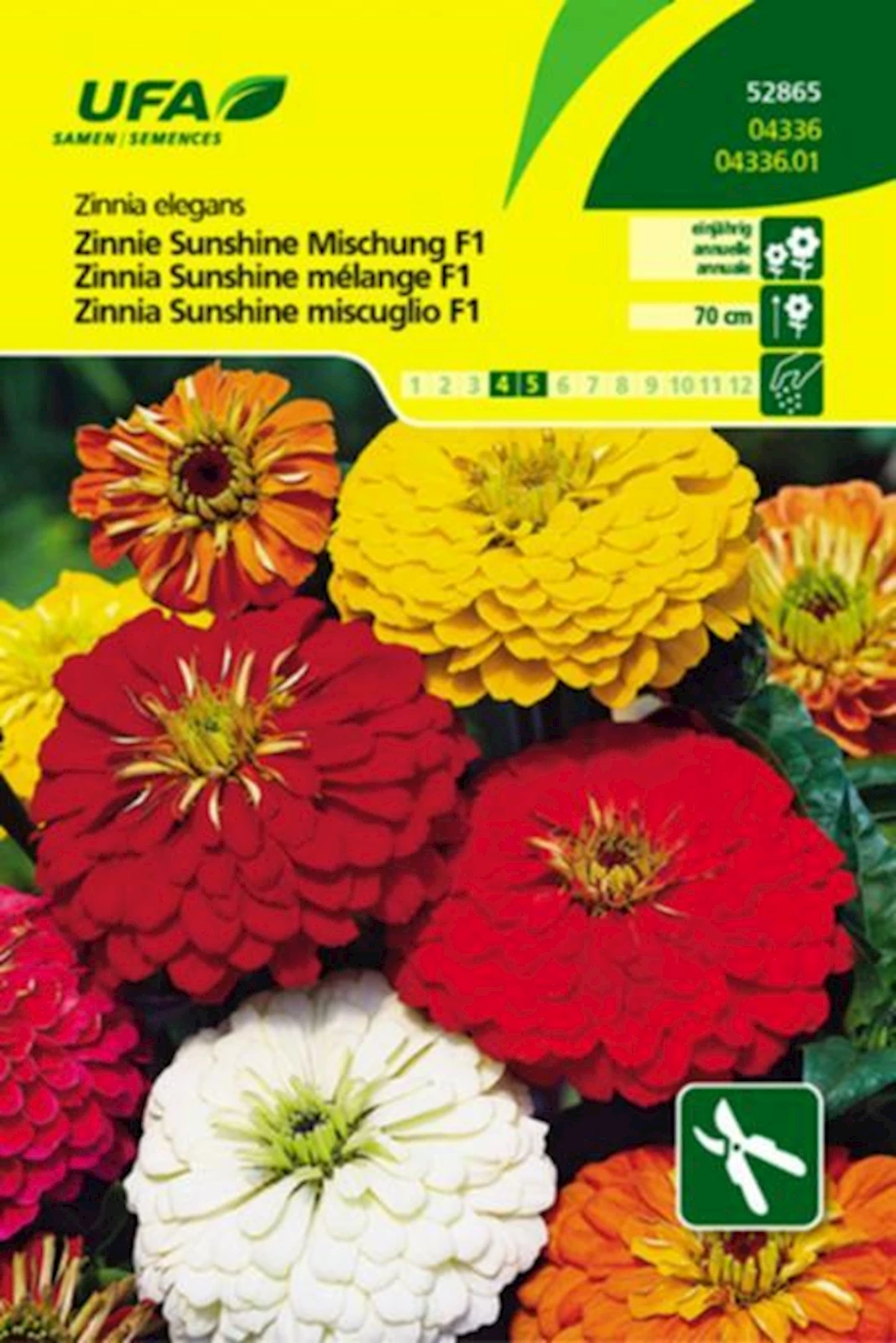 Zinnie Sunshine Mischung F1 UFA