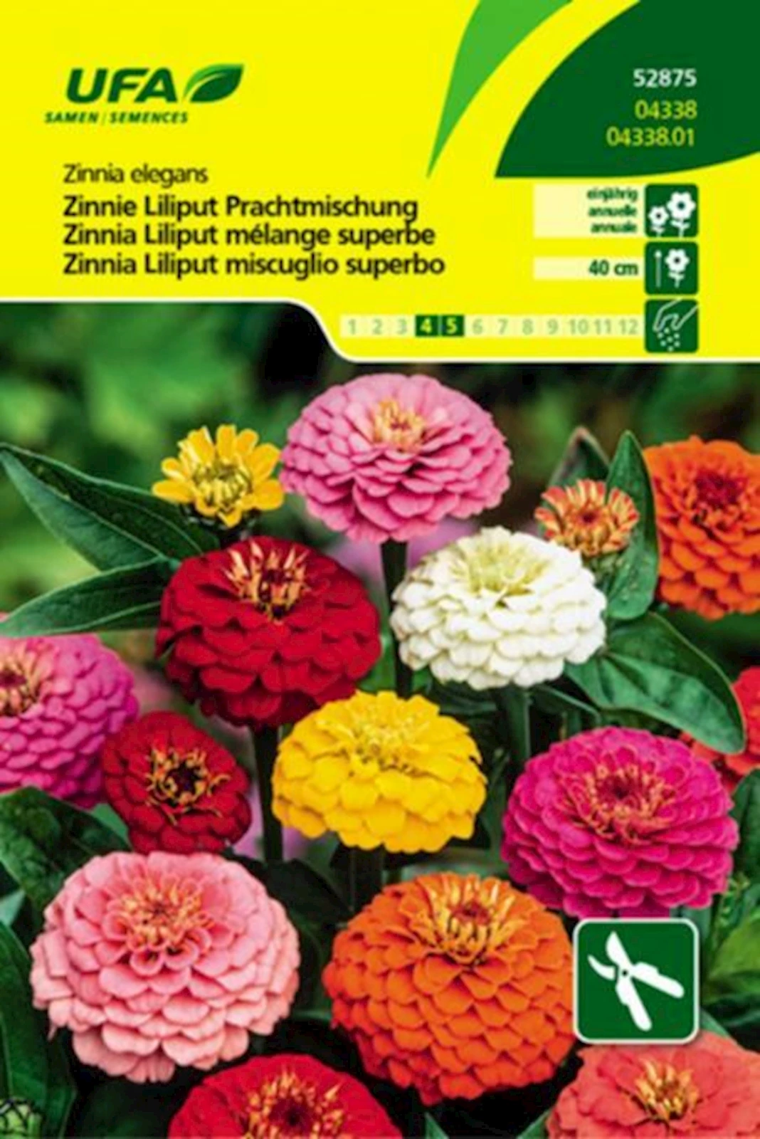 Zinnie Liliput Mischung UFA