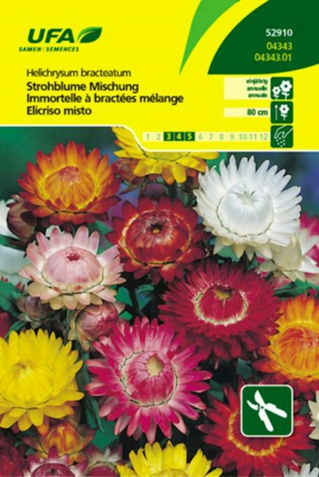 Strohblumen Mischung UFA
