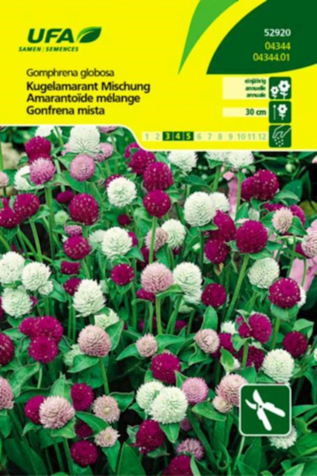 Kugelamarant Mischung UFA