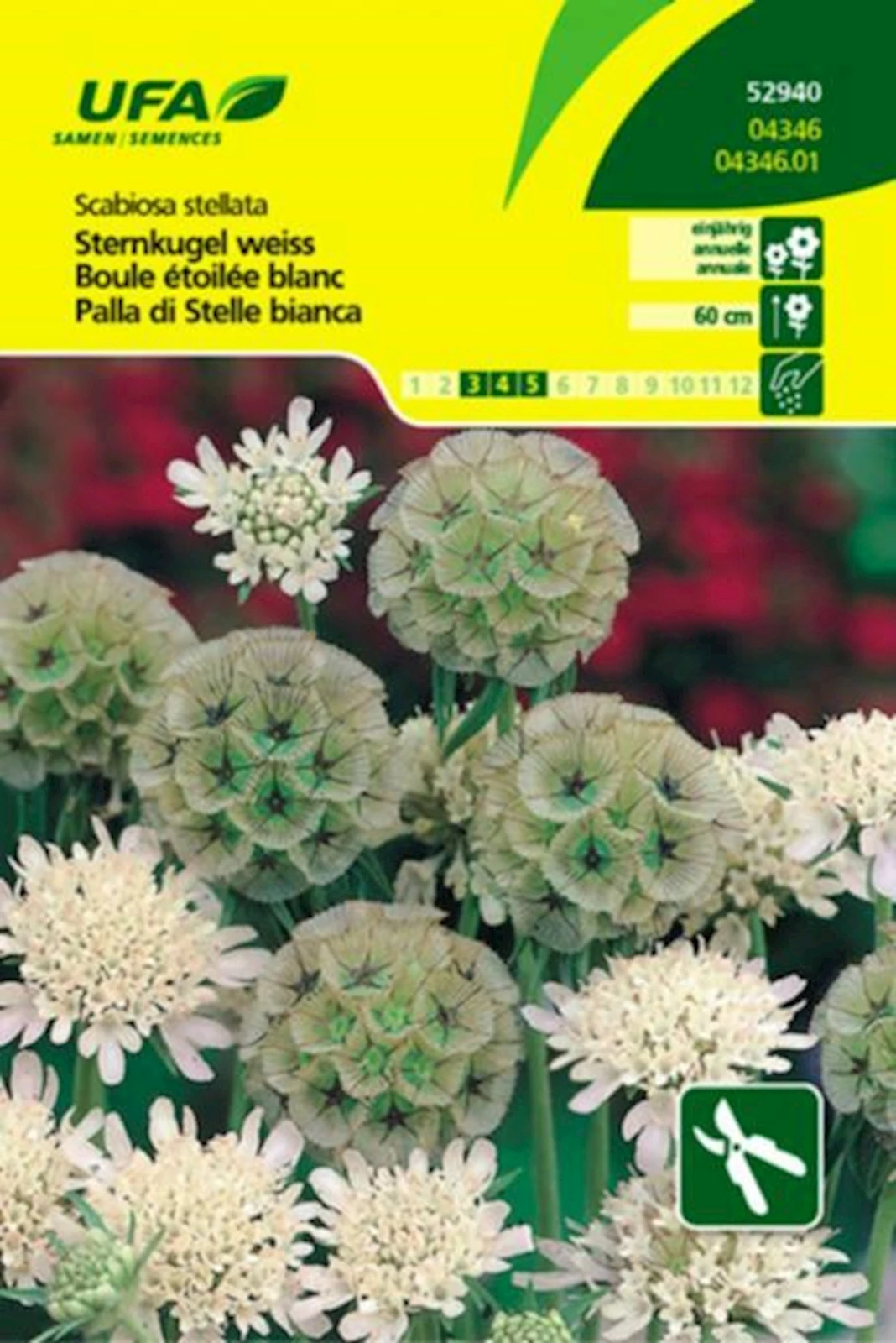 Sternkugel weiss UFA