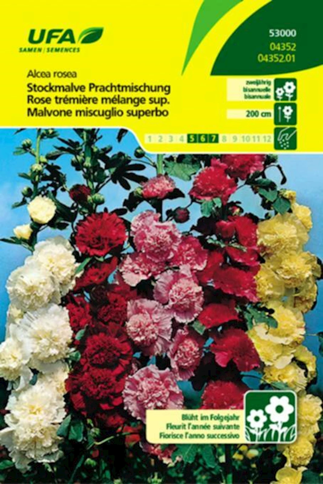 Stockmalve Mischung UFA