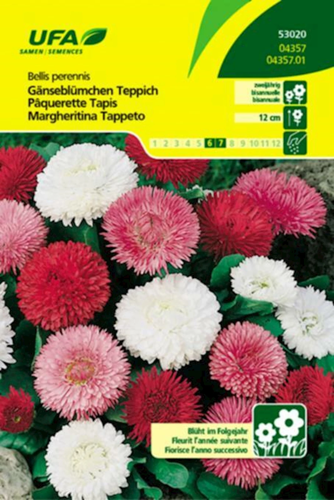 Gänseblümchen Teppich Mischung UFA