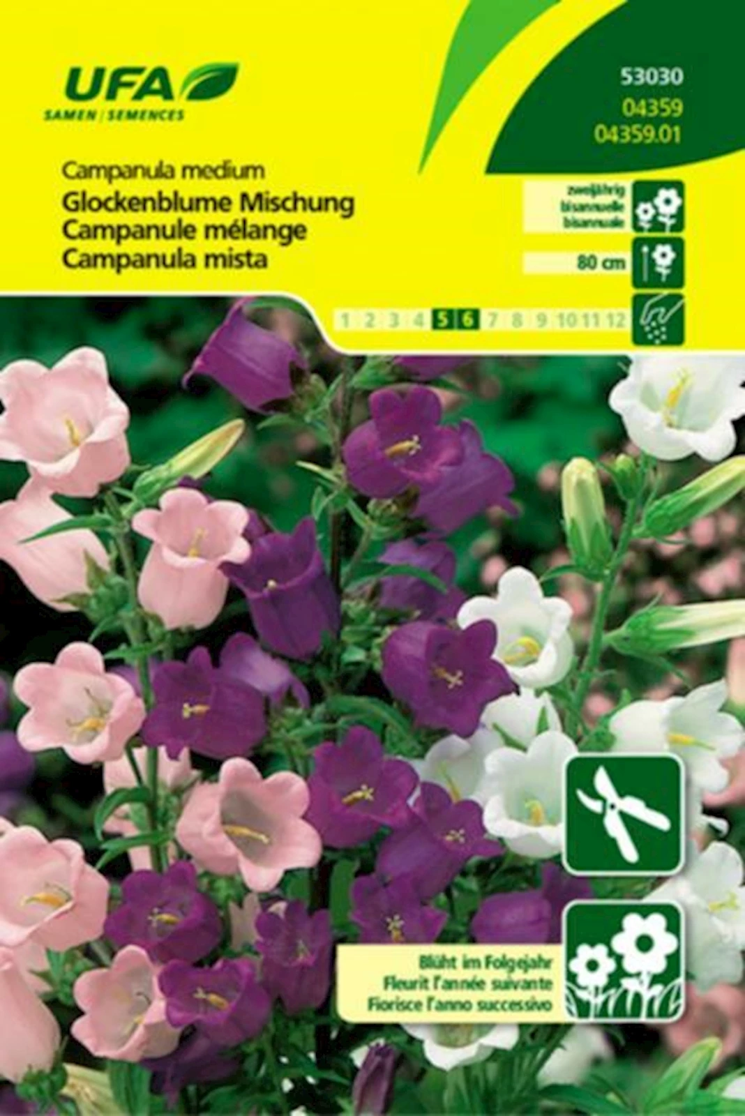 Glockenblume Mischung UFA