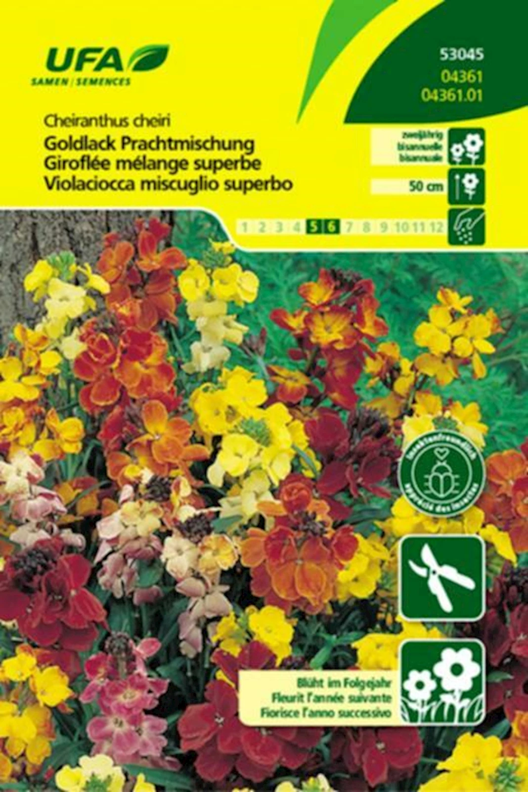 Goldlack Prachtmischung UFA