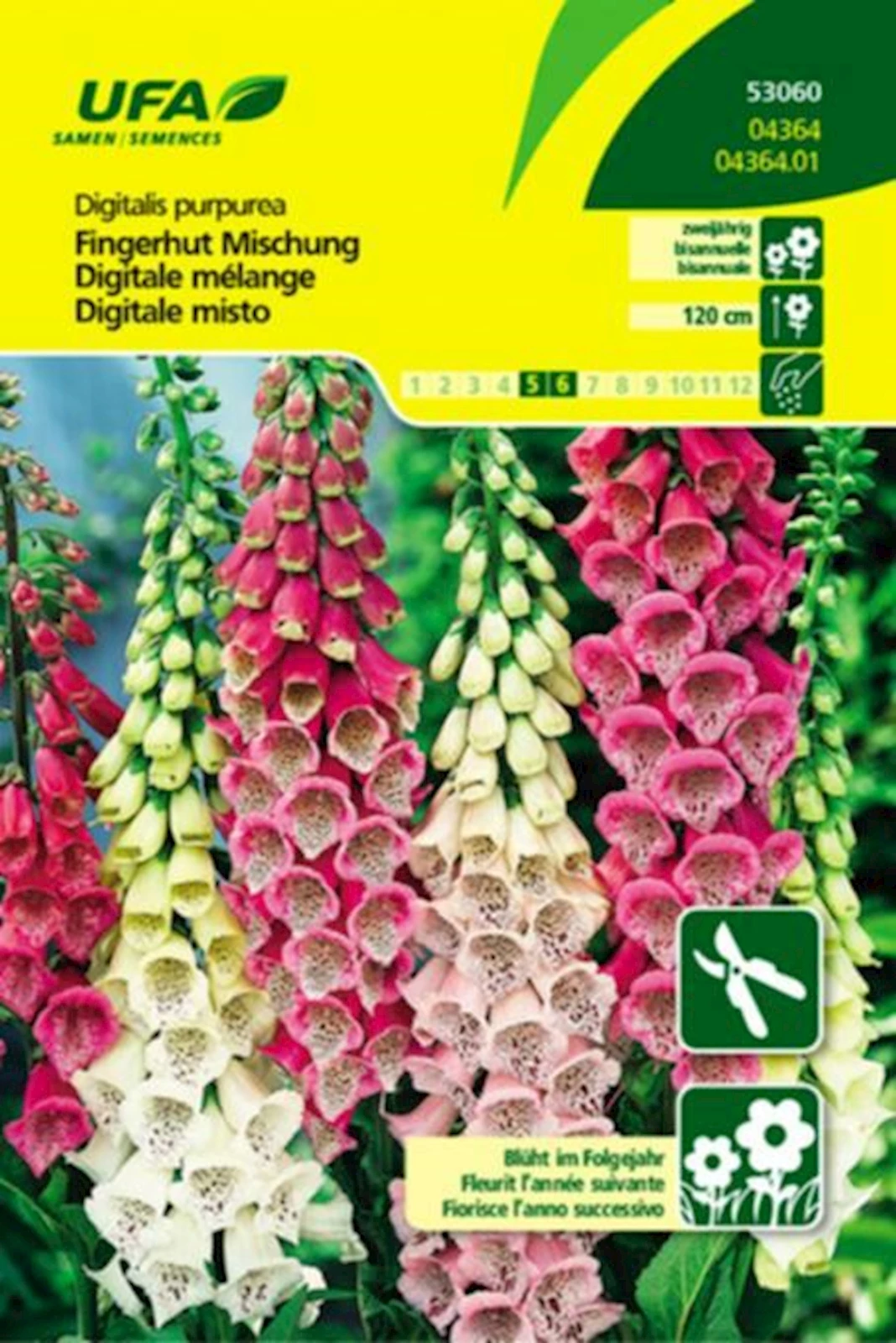 Fingerhut Mischung UFA