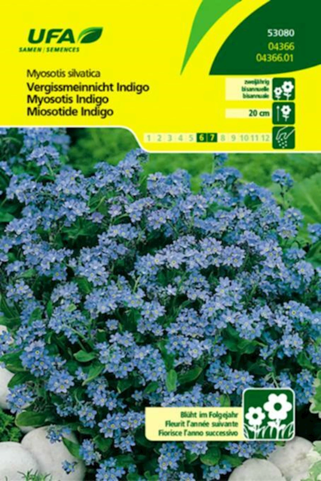 Vergissmeinnicht Indigo UFA