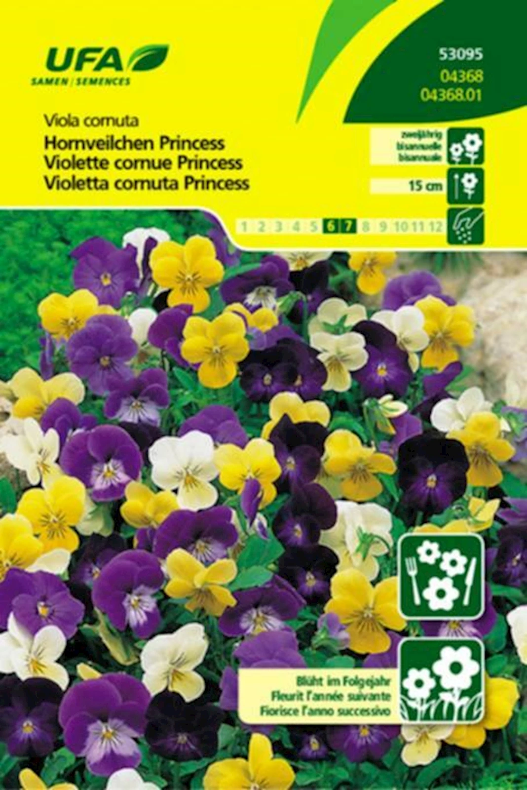 Viola Cornuta Princess UFA
