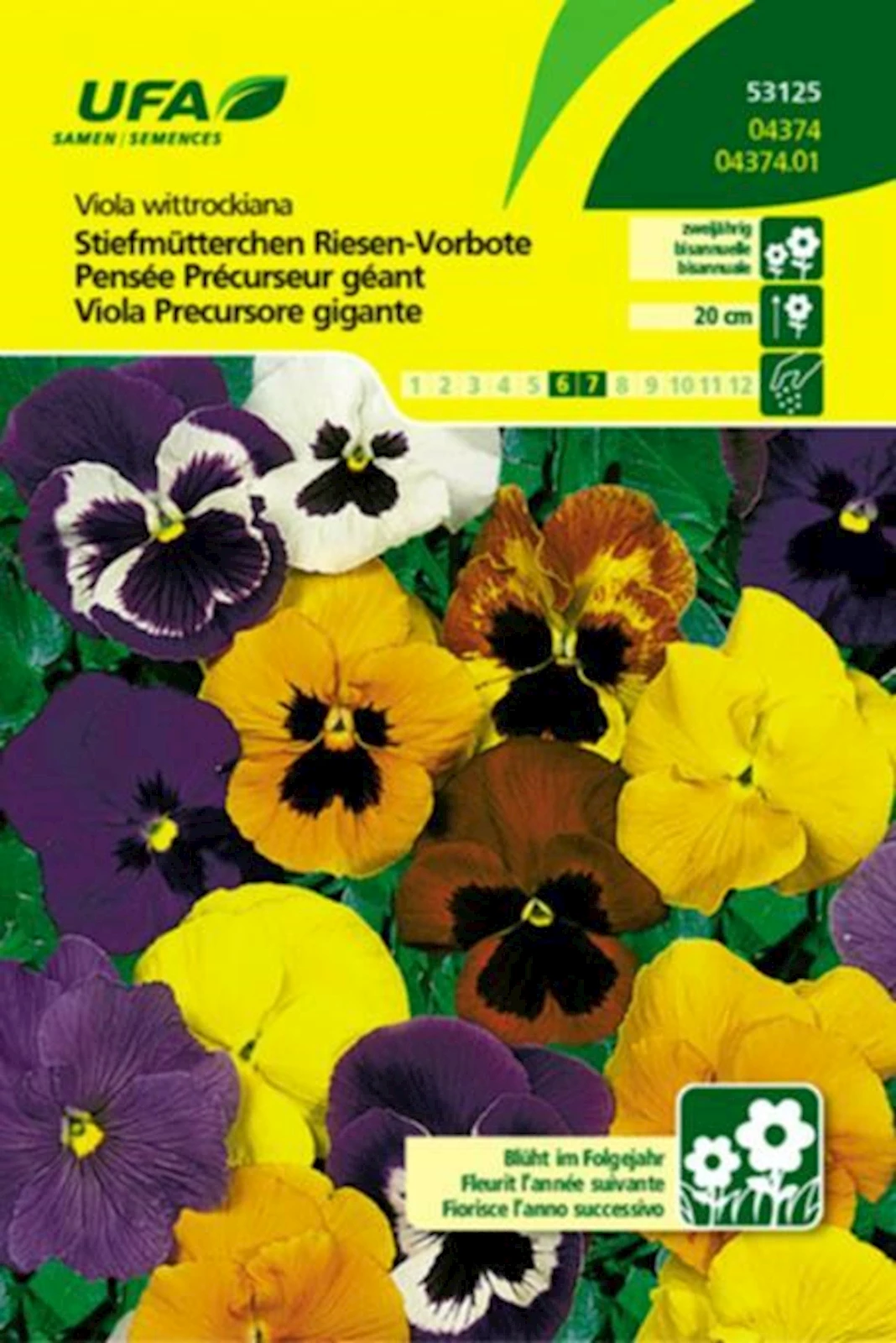 Viola Vorbote Mischung UFA