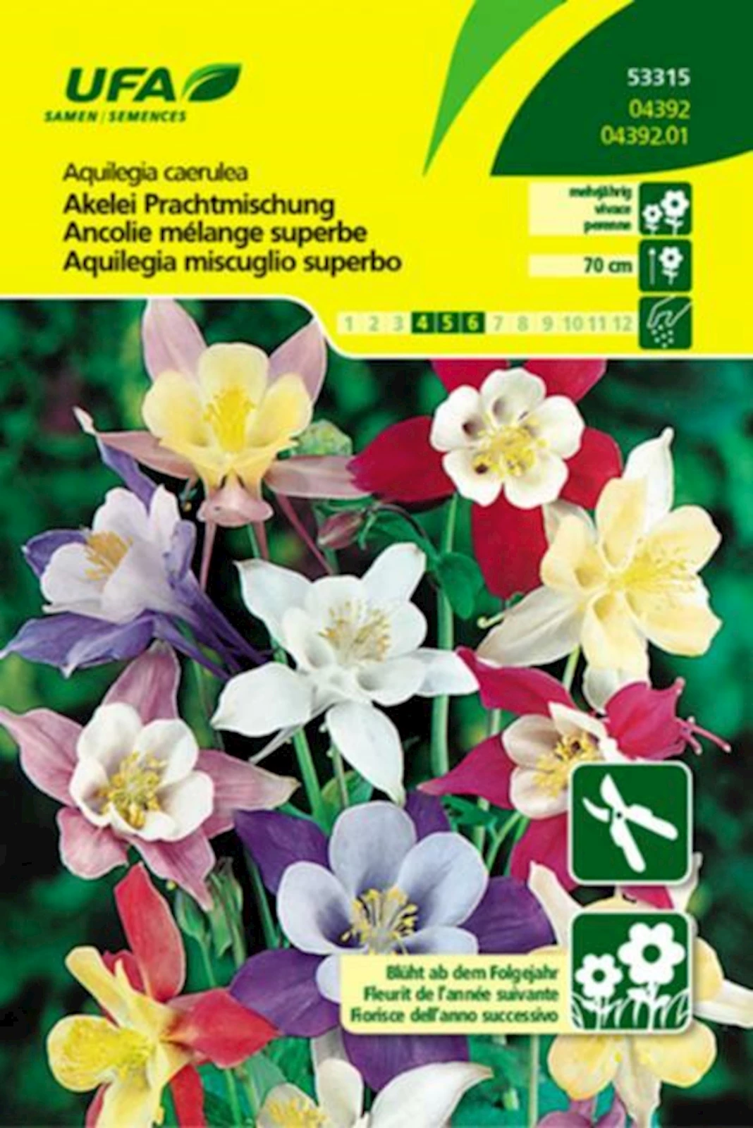 Akelei Prachtmischung UFA