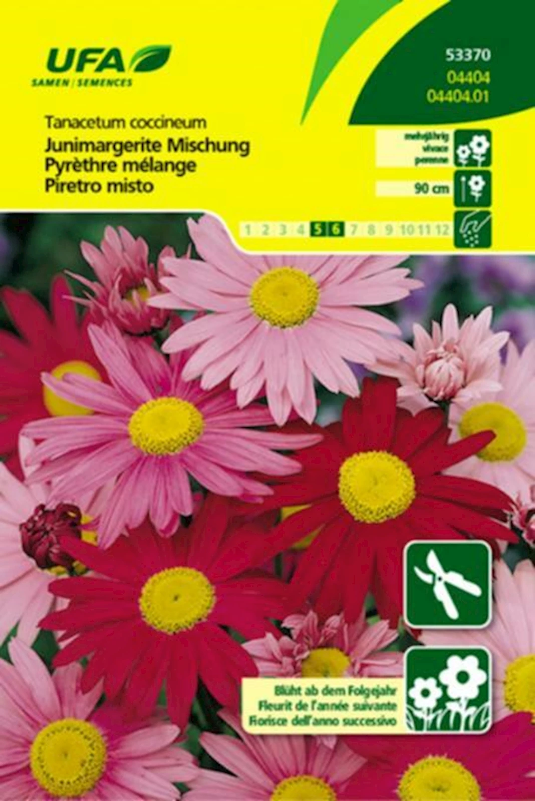 Junimargerite Robinson UFA