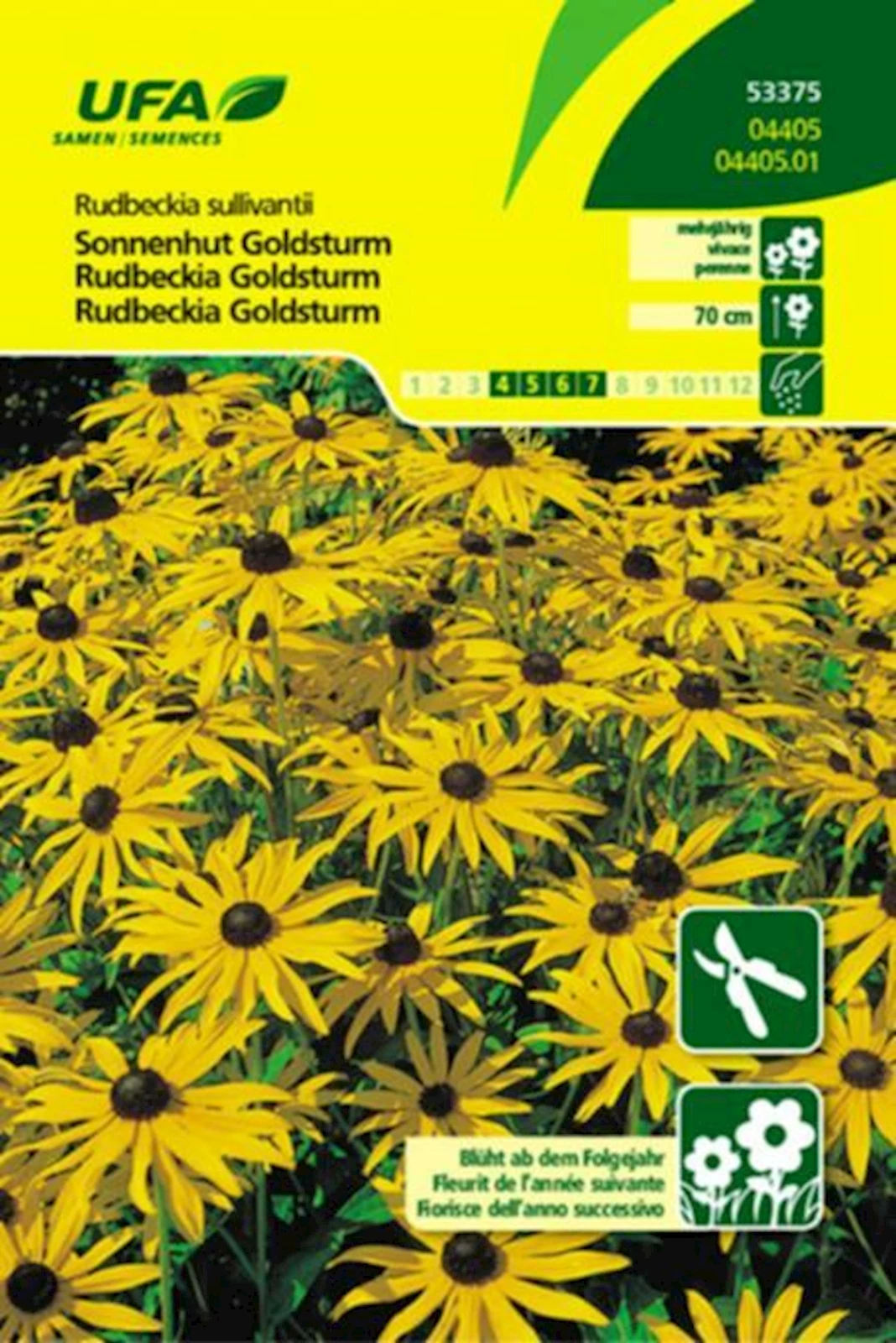 Sonnenhut Goldsturm UFA