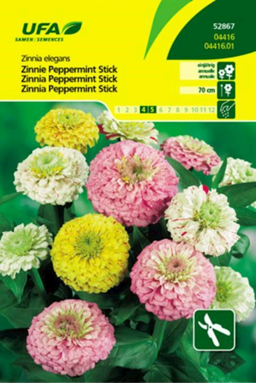 Zinnia Peppermint Stick UFA