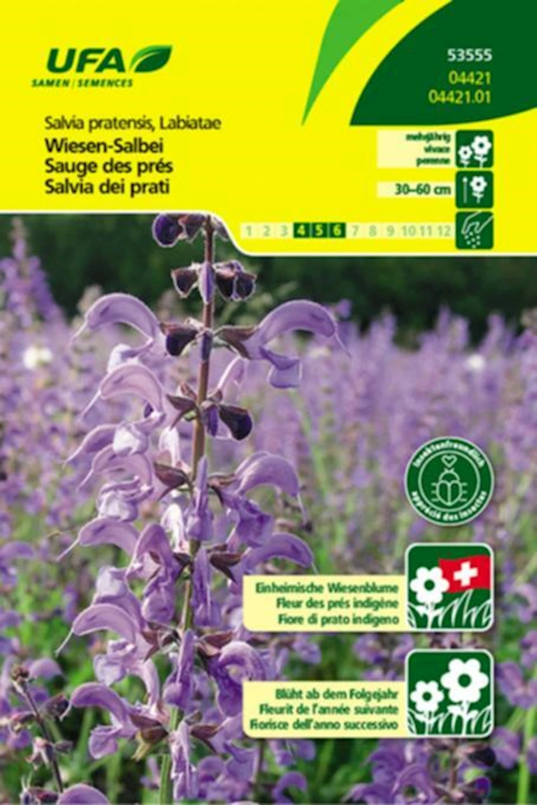 Wiesen-Salbei UFA
