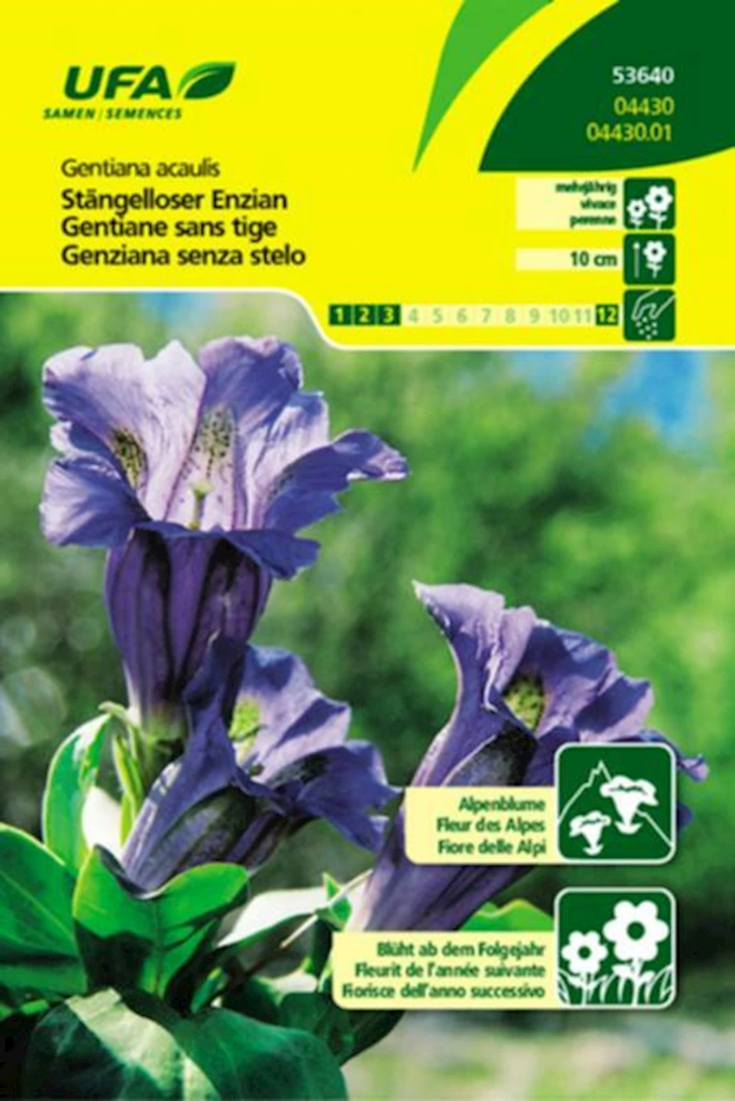 Stengelloser Enzian UFA