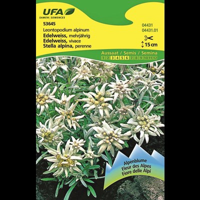 Edelweiss silberweiss UFA