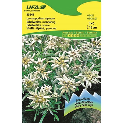 Edelweiss blanc argenté UFA