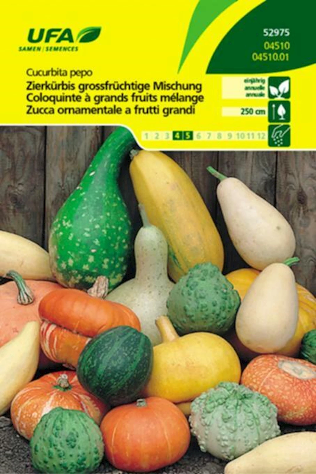 Zierkürbis Grossfrüchtige UFA