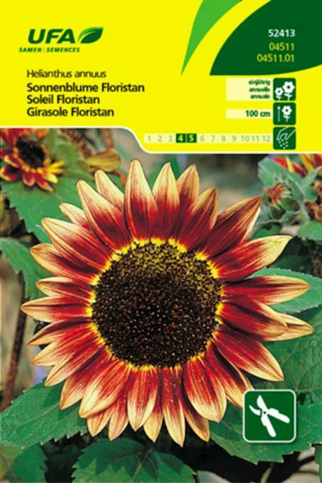 Sonnenblume Floristan UFA