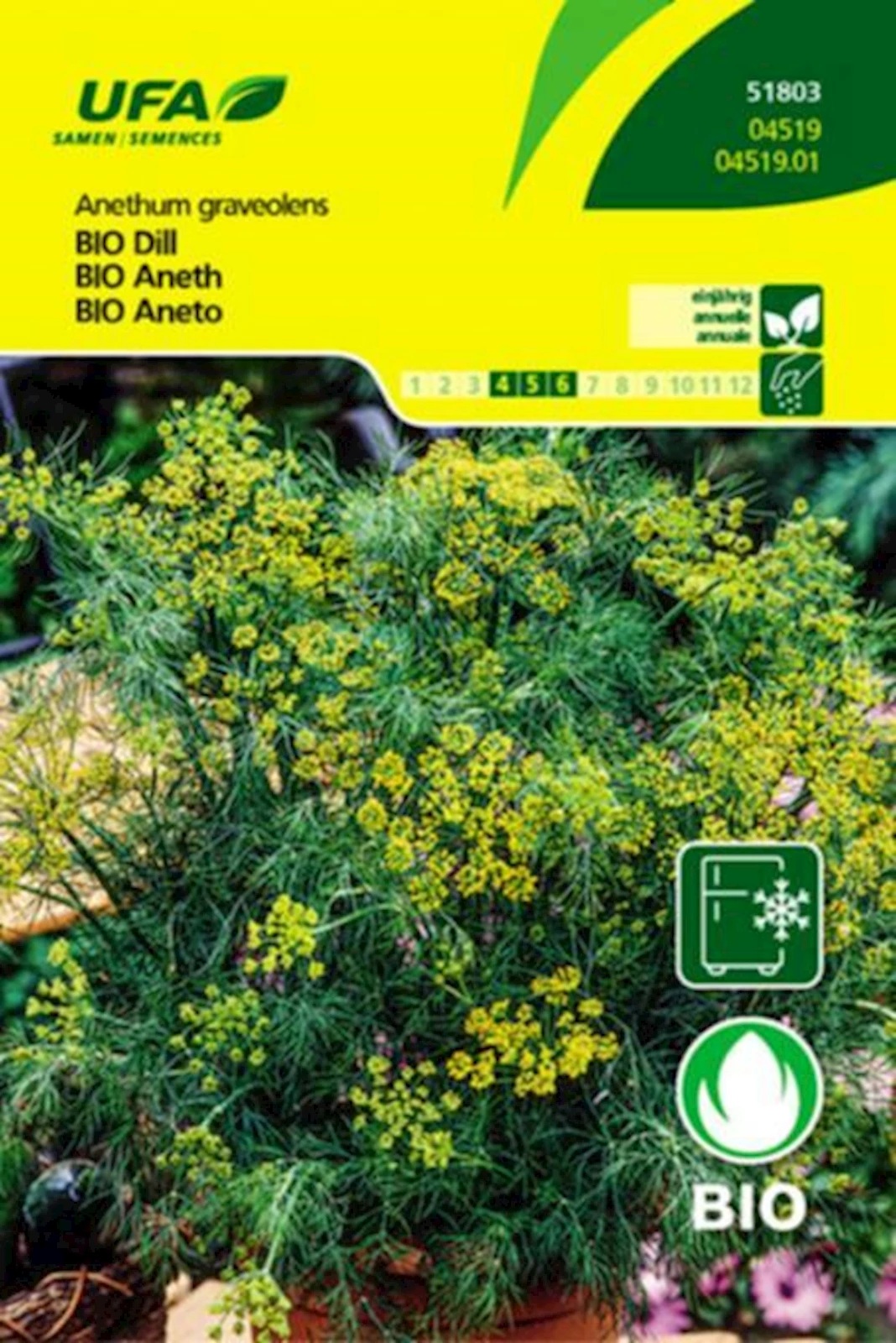 Kräuter Dill BIO-K UFA