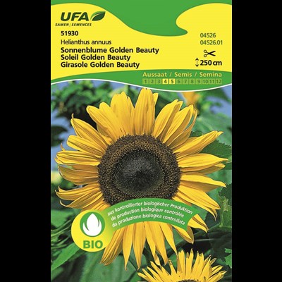 Sonnenblume Golden Beauty BIO-K UFA