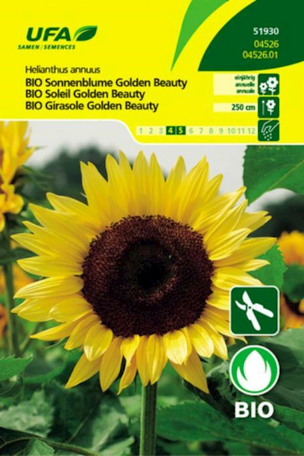 Sonnenblume Golden Beauty BIO-K UFA