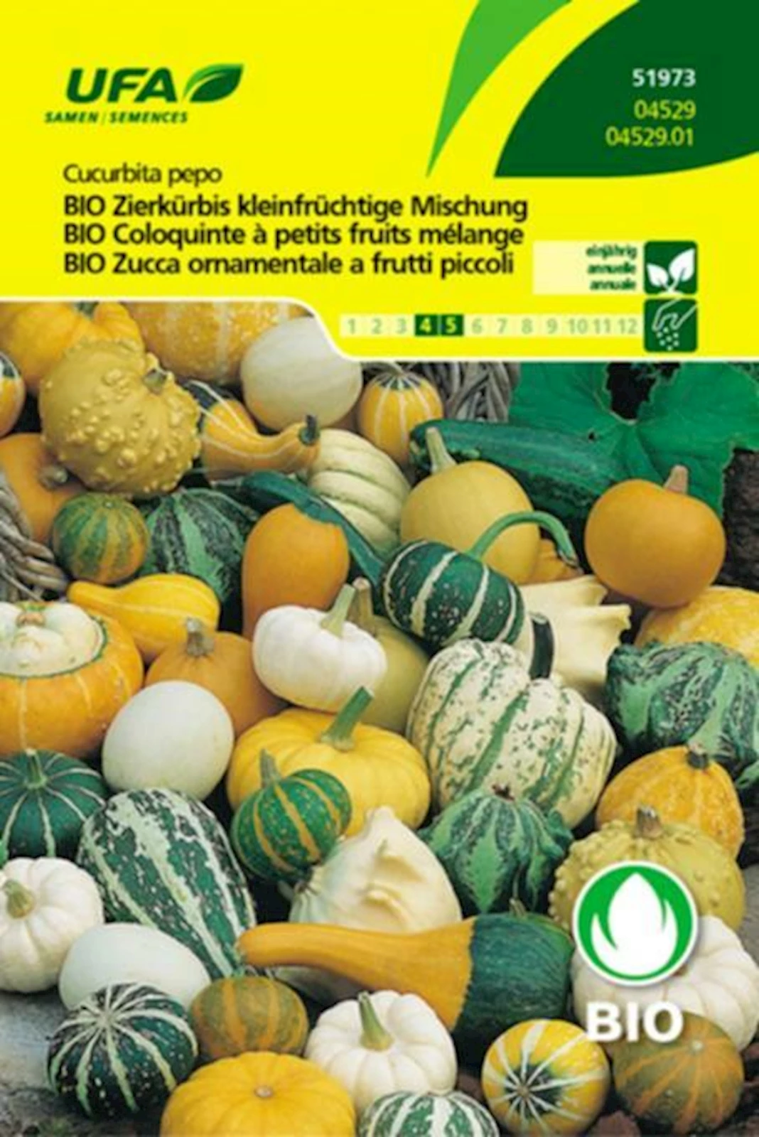 Zierkürbis Kleinfrücht Mix BIO-K UFA