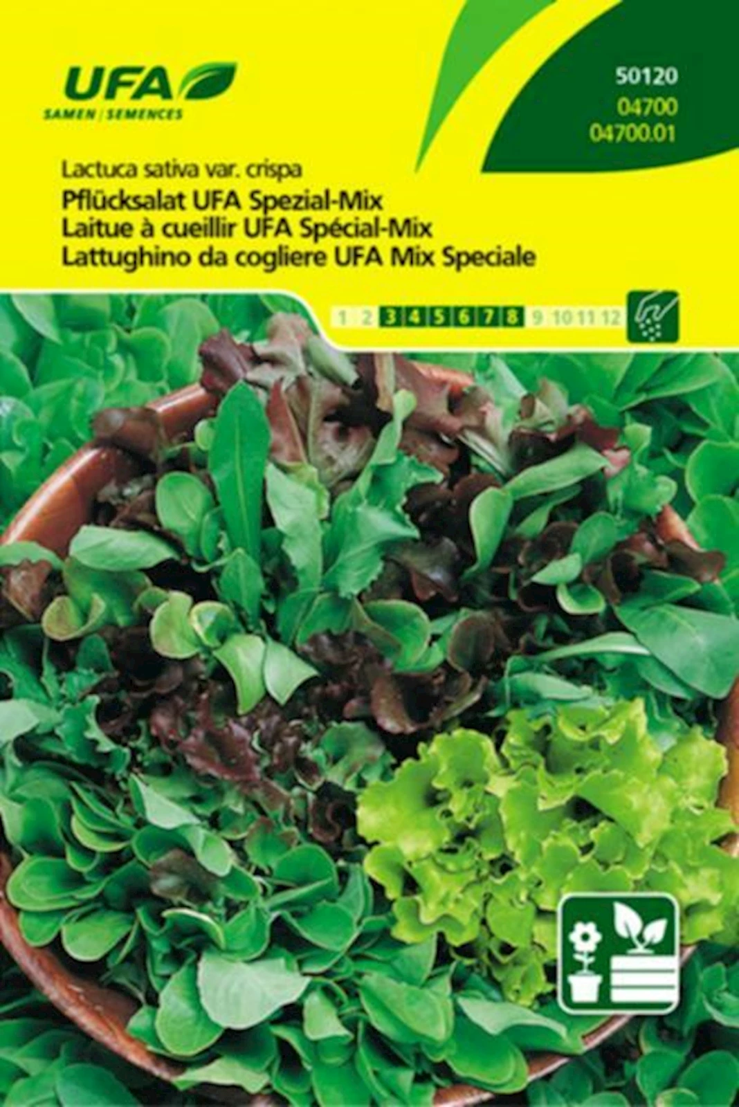 Pflücksalat Spezial-Mix UFA